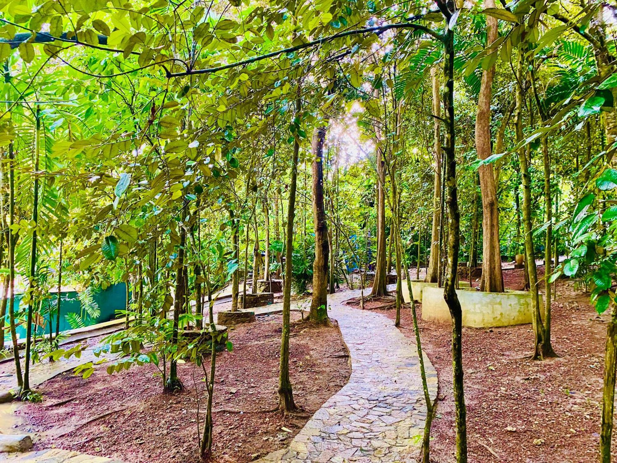 آهانغاما Nature Will المظهر الخارجي الصورة